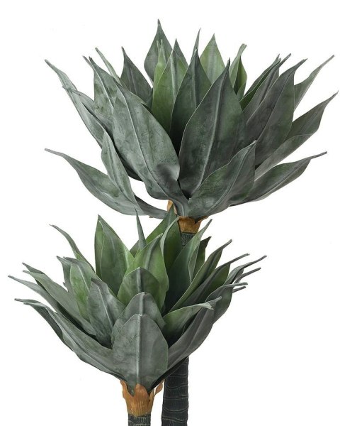 KARE roślina dekoracyjna AGAVE 120 cm