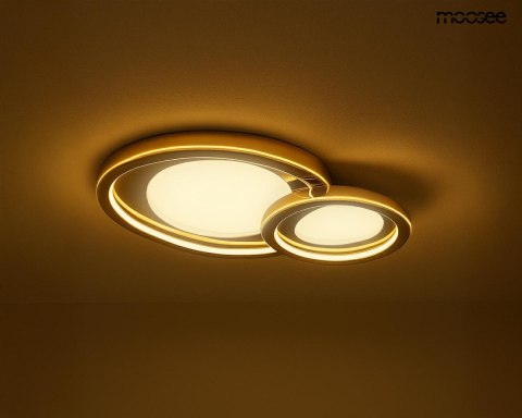 MOOSEE lampa sufitowa / plafon CELL 2 złota MOOSEE lampa sufitowa / plafon CELL 2 złota