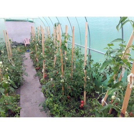 Tunel foliowy - szklarnia ogrodowa 3x8m