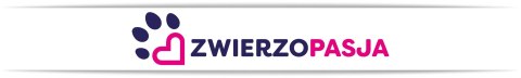 Drapak wielopoziomowy dla kota Anders - grafitowy